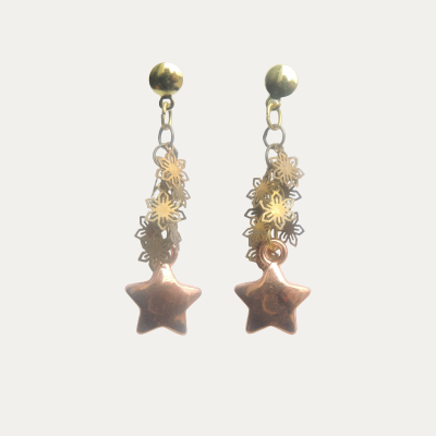 Detalhes do produto Brinco BR 1043