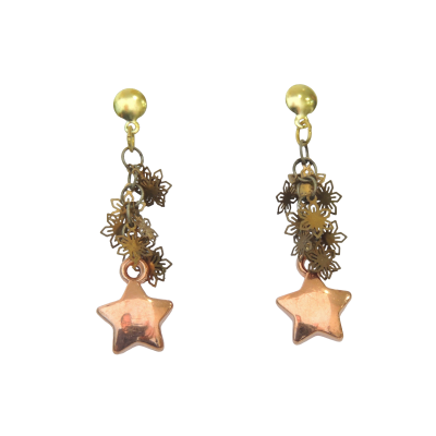 Detalhes do produto Brinco BR 1043