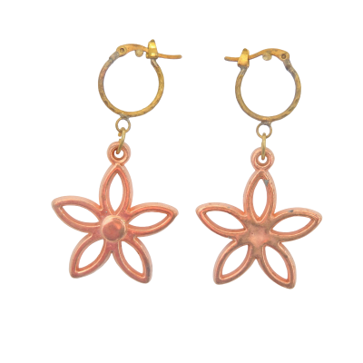 Detalhes do produto Brinco BR 1084